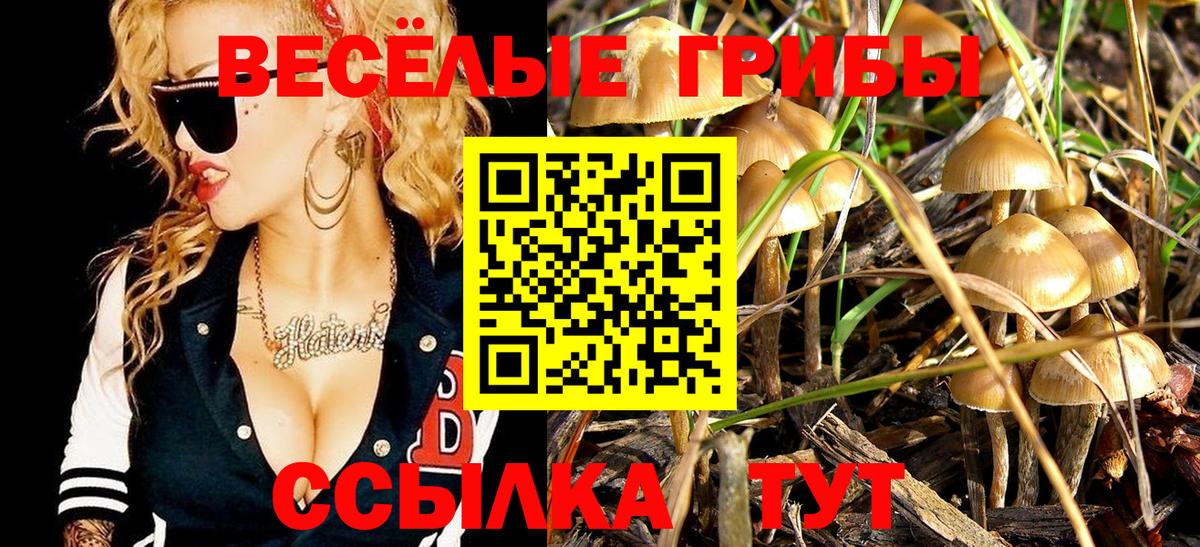 Псилоцибиновые грибы ЛСД  Псилоцибиновые грибы GOLDEN TEACHER  Вход с VPN  Дивногорск 