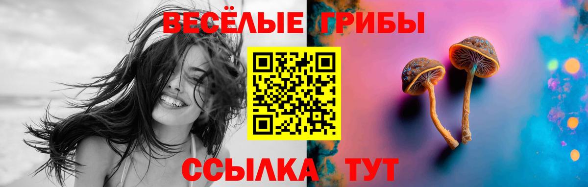 Галлюциногенные грибы GOLDEN TEACHER Дивногорск